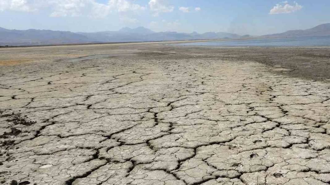 Erçek Gölü kuruyor! Kuş cennetinde kuraklık! 1